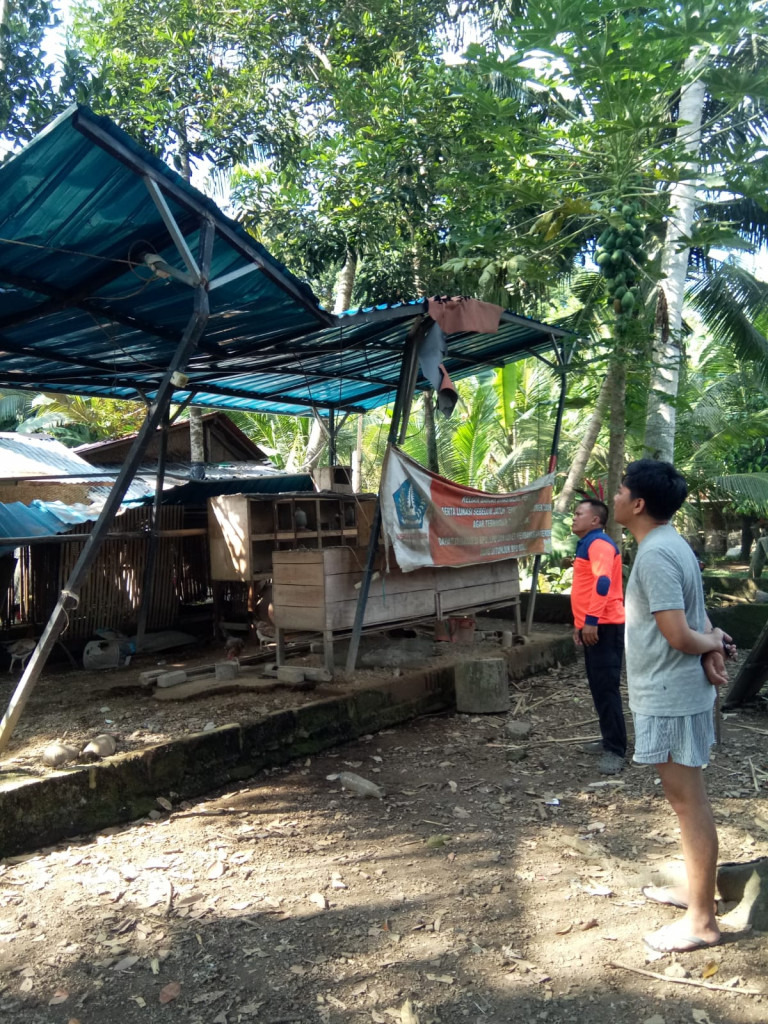 Pohon Tumbang di Banjar Gunung, Desa Abiansemal, Kecamatan Abiansemal Tanggal 18 Mei 2023